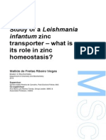 Tese Leishmania Infantum, Zinc Transporter, CDF