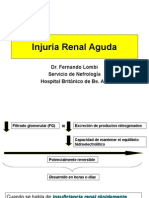 Injuria Renal Aguda2012 (2)