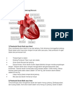 Jantung Dan Fungsi