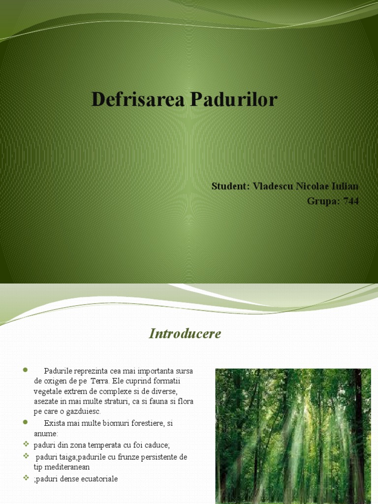 Defrisarea Padurilor | PDF