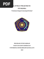 Download Laporan Fitokimia Fraksinasi dengan Kromatografi Kolom by Fachrunnisa Novi SN268612293 doc pdf
