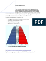 Piramida Penduduk Negara Berkembang