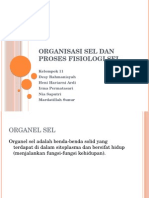 Organisasi Sel Dan Proses Fisiologi Sel