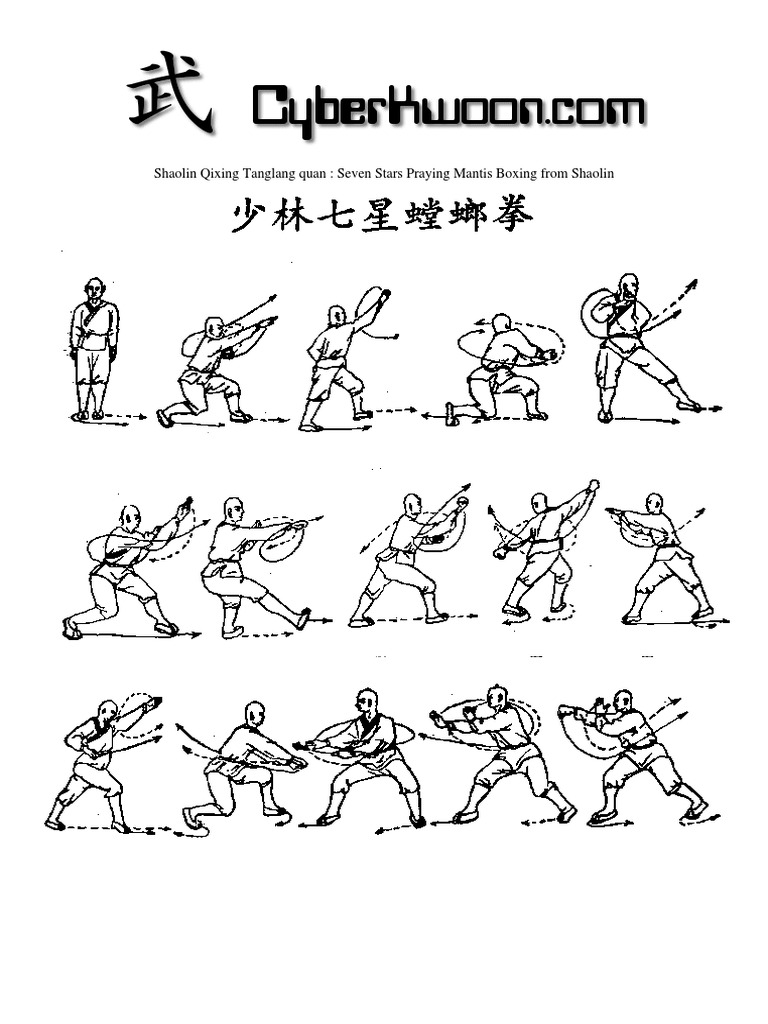 Seven Stars Praying Mantis Kung Fu | PDF | Chinese Martial Arts | East ...