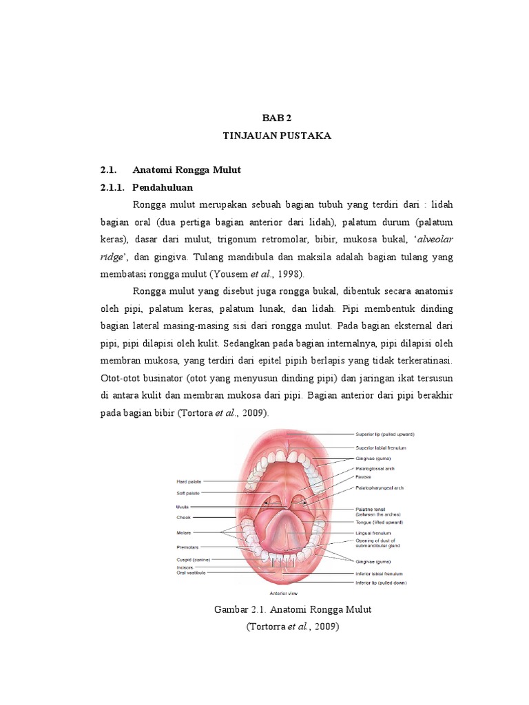 Anatomi Rongga Mulut Dan Bibir Pdf Seni Disiplin Bahasa Sains