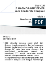 5W+1H Demam Berdarah Dengue