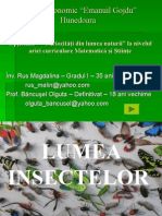 Evaluare interactiva - insecte