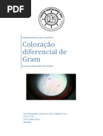 Relatório Gram - 12º Ano