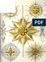 Ernst Haeckel Artforms of Nature PDF