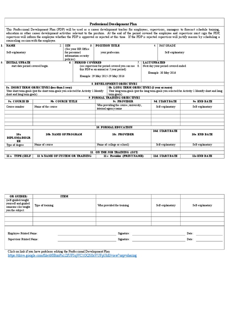 Professional Development Plan Template | PDF
