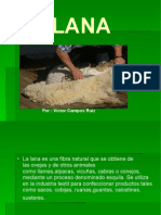 La LANA