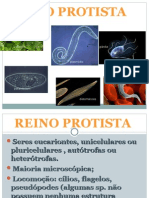 Aula Power Point Protozoarios