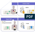 Derivaciones Cardiacas