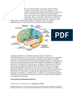 NEUROPSICOLOGÍA