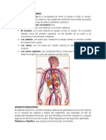 Aparato Circulatorio, Endocrino y Excretor