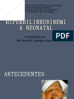 Hiperbilirrubinemia Neonatal