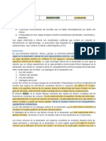 Resumen Meninges y Encéfalo Primer Bloque)