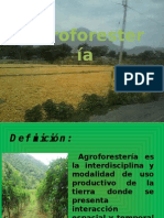 Presentacion de Agroforesteria.