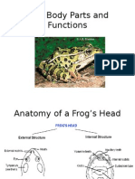Frog Body Parts and Functions(1)