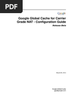 Google Global Cache For Carrier Grade NAT - Configuration Guide