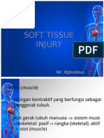 1.2 Prinsip-Prinsip Manajemen Soft Tissue Injury