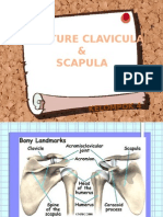 2.2 Fraktur Clavicula &scapula