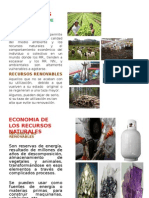 ECONOMIA RECURSOS NATURALES