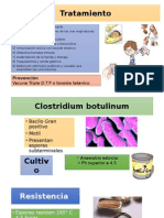 Clostridium Bacteria