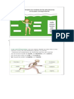 dibujos sistem locomotor 2015.docx