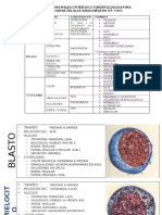 2 Práctica de Citomorfología HE
