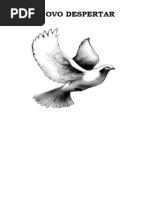 Livro - Um Novo Despertar