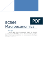 Macroeconomics Essay