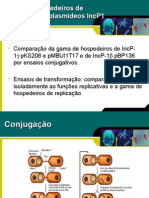 Gama de Hospedeiros de Replicação de Plasmídeos IncP1 Intactos