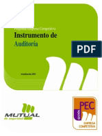 PEC Competitiva-Instrumento de Auditoria-2010