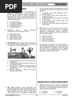 BB.04 Morfologia Externa Das Plantas