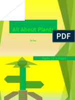 All About Plants Dan