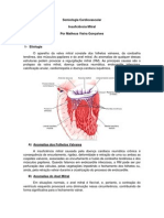 Aula Cardiologia