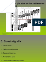 04 Biostratigrafia