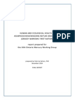 Asubpeeschoseewagong (Grassy Narrows) - Sellers Final Report 2014 