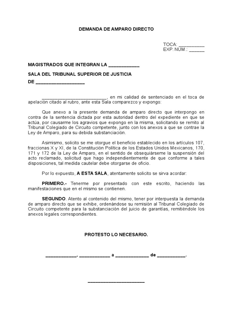 Demanda de Amparo Directo
