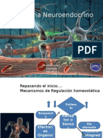 El Sistema nervioso1.14.pptx