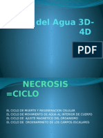 Ciclo Del Agua 4d