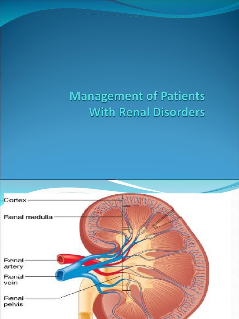 case presentation of renal system