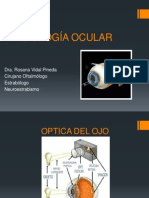 Fisiología Ocular