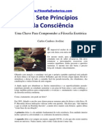 OsSetePrincipiosdaConsciencia_12072012