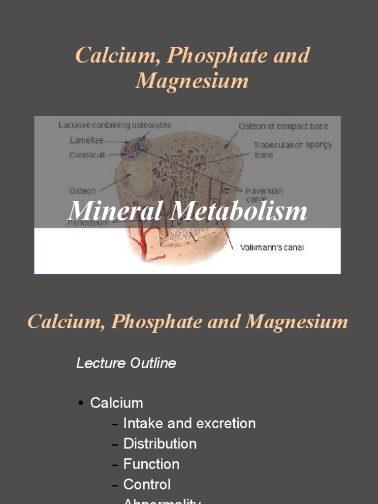 Calcium, Phosphate and Magnesium Calcium In Biology Chemistry