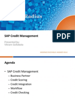 SAP Credit Management Overview PDF