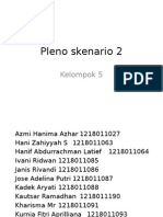 Pleno skenario 2