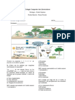 Prueba Objetiva Grado 7º Primer Periodo