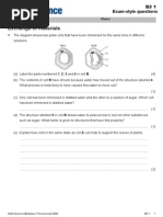 Download B31 Exam-style Questions 2 by Toni Heater SN268834870 doc pdf